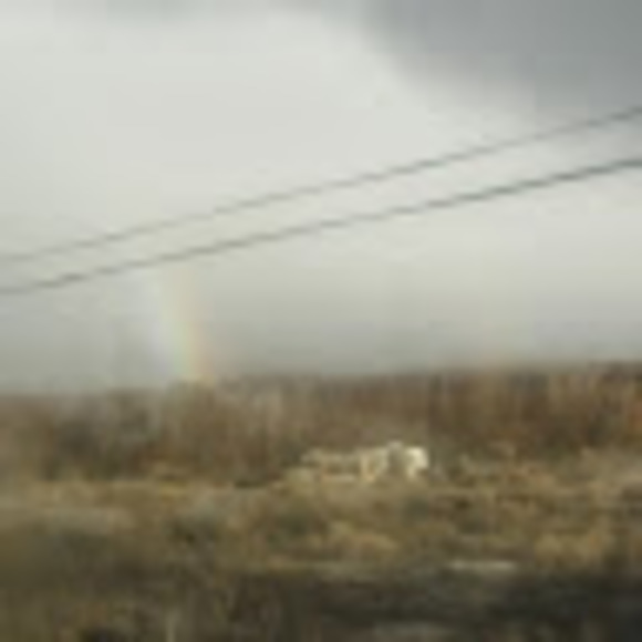 Meet your Posher, Albita - Picture 1 of 1